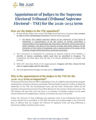 Appointment of Judges to the Supreme Electoral Tribunal (Tribunal Supremo Electoral - TSE) for the 2026-2032 term